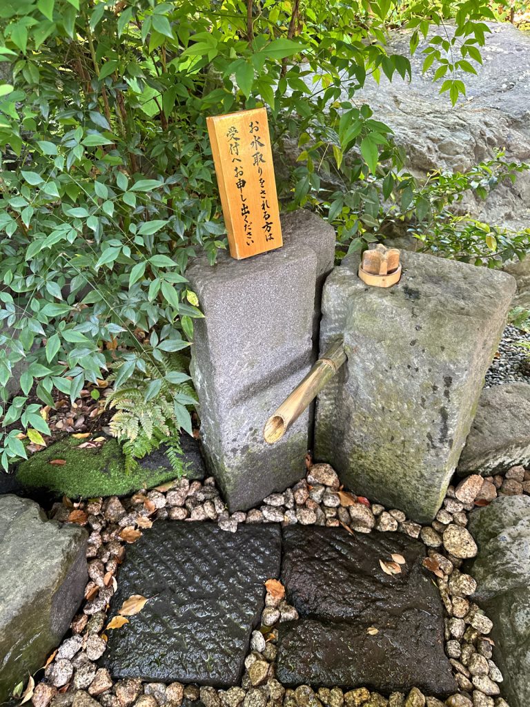 寒川神社の神嶽山神苑へ | いたぶくろ